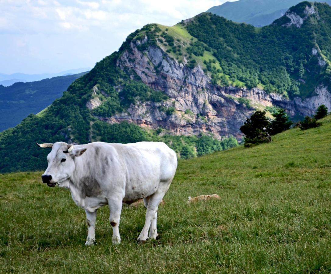 Locanda Della Rocca Сарнано Екстериор снимка