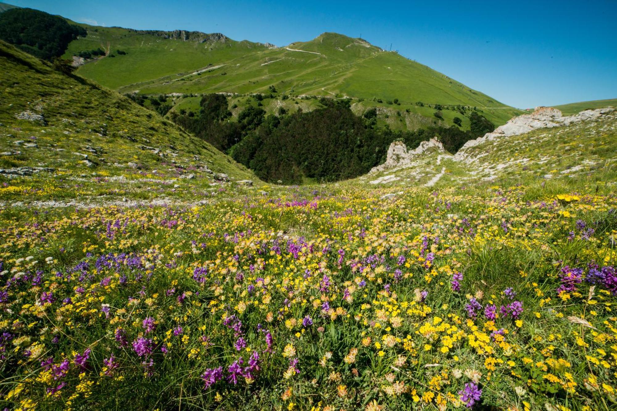 Locanda Della Rocca Сарнано Екстериор снимка